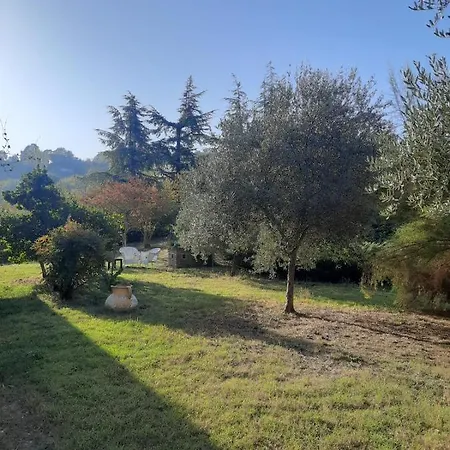 Santa Chiara